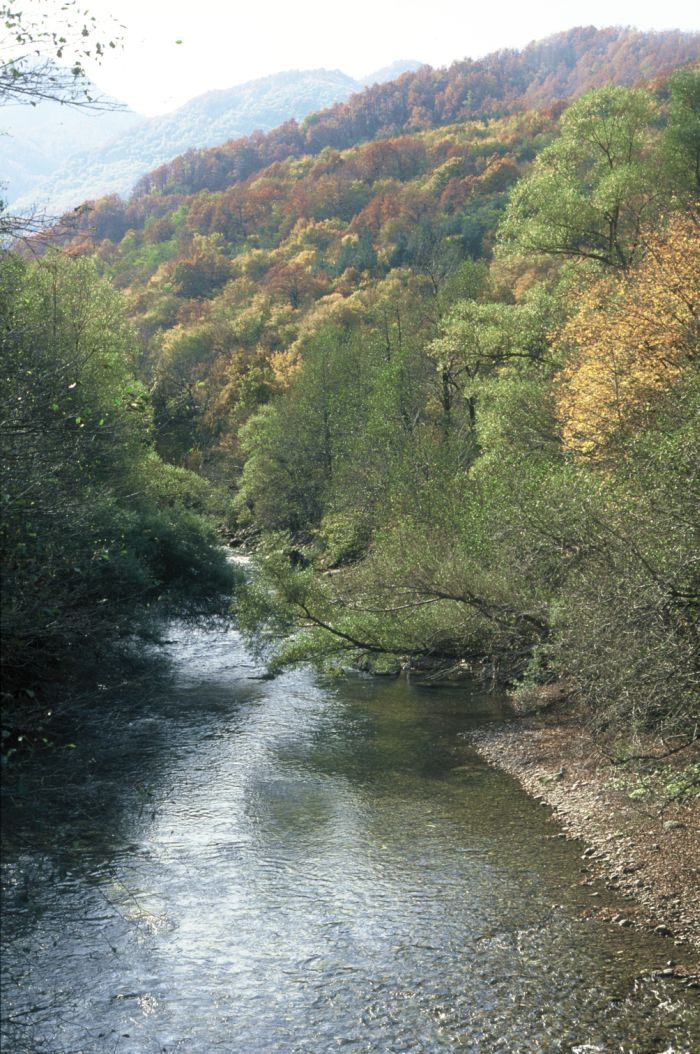 Sutjeska valley at Sutjeska National Park, 25.10.2006