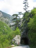 Sutjeska Nationalpark, 04.05.2008