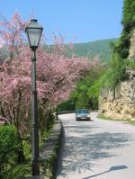 Jajce, 08.05.2008