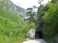 Sutjeska Nationalpark, 04.05.2008