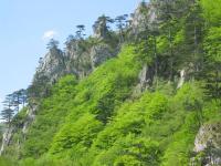 Sutjeska Nationalpark, 04.05.2008