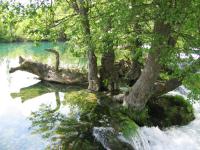 Bihac Una, 09.05.2008