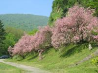 Jajce, 08.05.2008