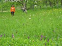 Ustikolina, 05.05.2008